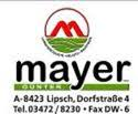 Mayer lipsch